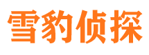 芦淞侦探